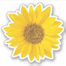 Search for pc photography Botanical