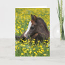 Search for lying cards Flowers