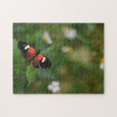 Search for nature photography puzzles Flowers