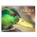 Search for duck calendars Mallards