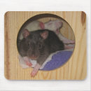 Search for pet rats mouse mats Fancy