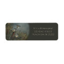 Search for pond return address labels Lake