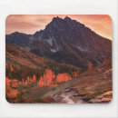 Search for basin mouse mats Landscape