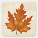 Search for autumn maple leaf stickers Fall season