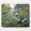 Search for best buds mouse mats Green