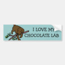 Search for chocolate labrador stuff bumper stickers Retriever