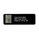 Search for woodpecker return address labels Nature