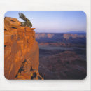Search for turning points Canyon