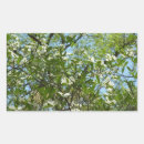 Search for dogwood blossom stickers Nature