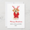 Search for cute yellow lab cards Puppy