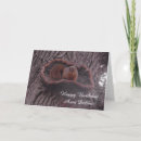 Search for squirrel picture cards Animals