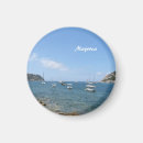 Search for idyllic magnets Coast