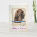 Search for dachshund easter cards Dog