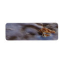 Search for surf return address labels Beach