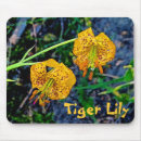 Search for tiger lily mouse mats Orange