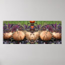 Search for mirroring posters Nature