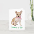 Search for chiwawa postcards Puppy