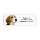 Search for beagles return address labels Hound