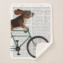Search for basset hound blankets Cute basset hounds