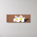 Search for plumeria canvas prints Floral