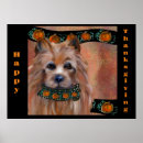 Search for silky posters Terrier