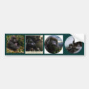 Search for ape bumper stickers Wildlife
