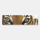 Search for tiger bumper stickers Orange