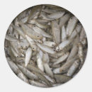 Search for shark fishing stickers Bait