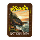 Search for otter magnets Acadia national park