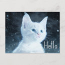Search for hello kitty postcards Cat