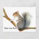 Search for watercolor drawing postcards Wildlife