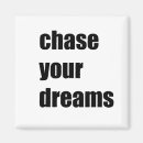 Search for chasing magnets Motivation