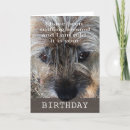 Search for border terrier cards Animal