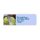 Search for parakeet return address labels Budgie