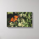 Search for butterfly canvas prints Orange