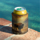 Search for native american food storage Buffalo