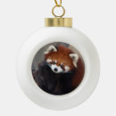 Search for red panda christmas tree decorations Mammal
