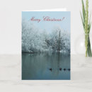 Search for pond christmas cards Ducks