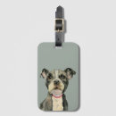 Search for black eye accessories Illustration