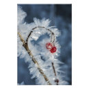 Search for ice crystal art Crystals