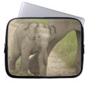 Search for grasslands cases Ie