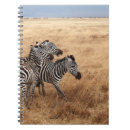 Search for horse racing notebooks Race