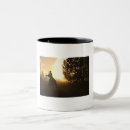 Search for wild mustang mugs Sunset