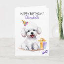 Search for bichon frise birthday cards Watercolor