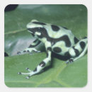 Search for poisonous stickers Green