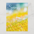 Search for sprout postcards Nature