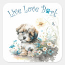 Search for havanese lover stickers Puppy