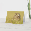 Search for burrowing cards Owls