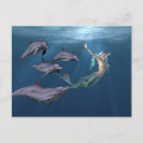 Search for dolphin postcards Ocean