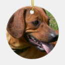Search for hot dog christmas tree decorations Puppy
